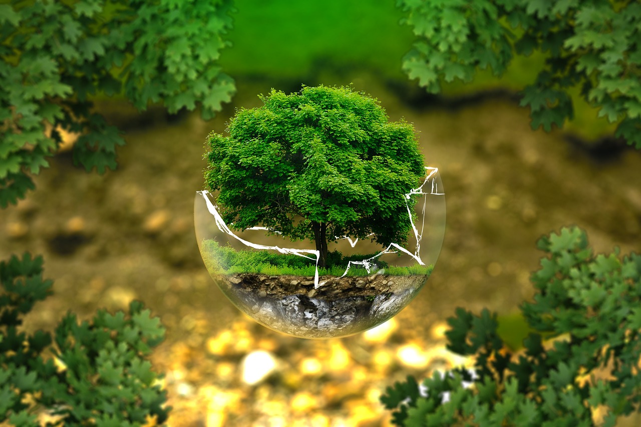 impact environnemental positif